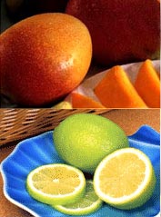 Mango, Lemon